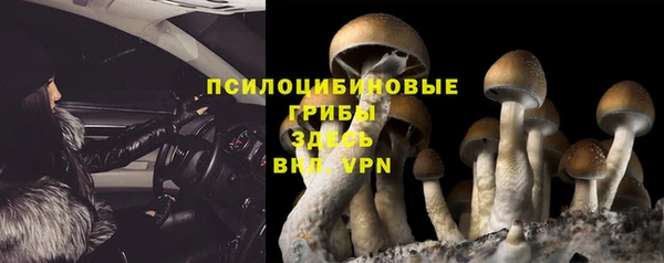 гидропоника Наволоки
