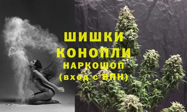 мдпв Навашино
