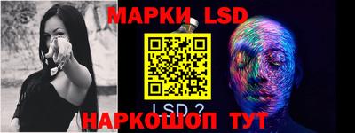 прущие грибы Абакан