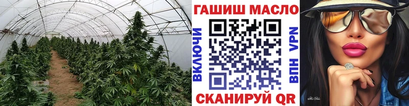 KRAKEN ссылка  Ярославль  ТГК THC oil  где купить наркотик 
