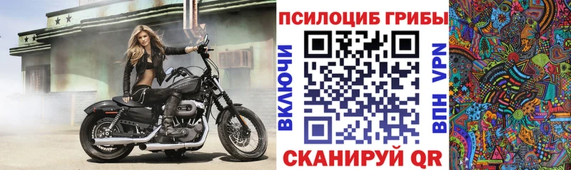 дарк нет наркотические препараты  купить закладку  Ярославль  Галлюциногенные грибы ЛСД 