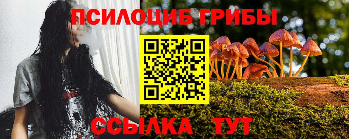 Псилоцибиновые грибы мицелий Ярославль