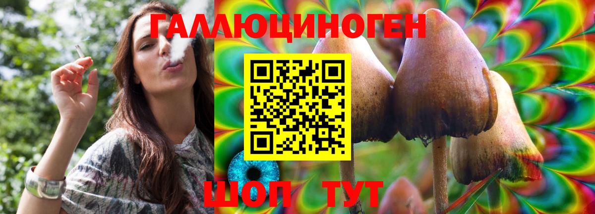 Ярославль  Галлюциногенные грибы GOLDEN TEACHER  Вход с VPN 